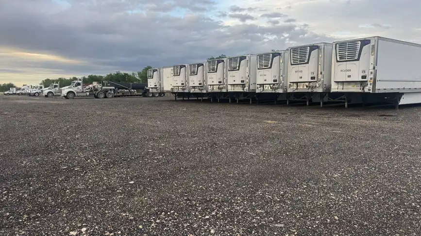 Fleet of refrigerated trailers parked at Dziuks